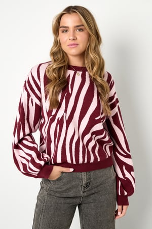 Maglioni lavorati a maglia, strisce zebrate, abbigliamento casual autunno/inverno h5 Immagine7